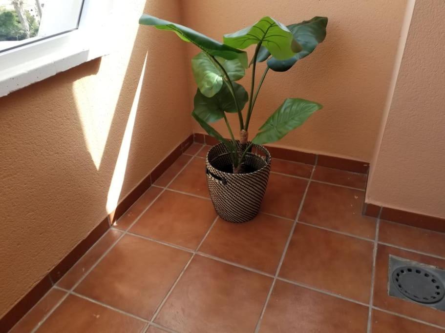 Casa Laguna كاساريس المظهر الخارجي الصورة
